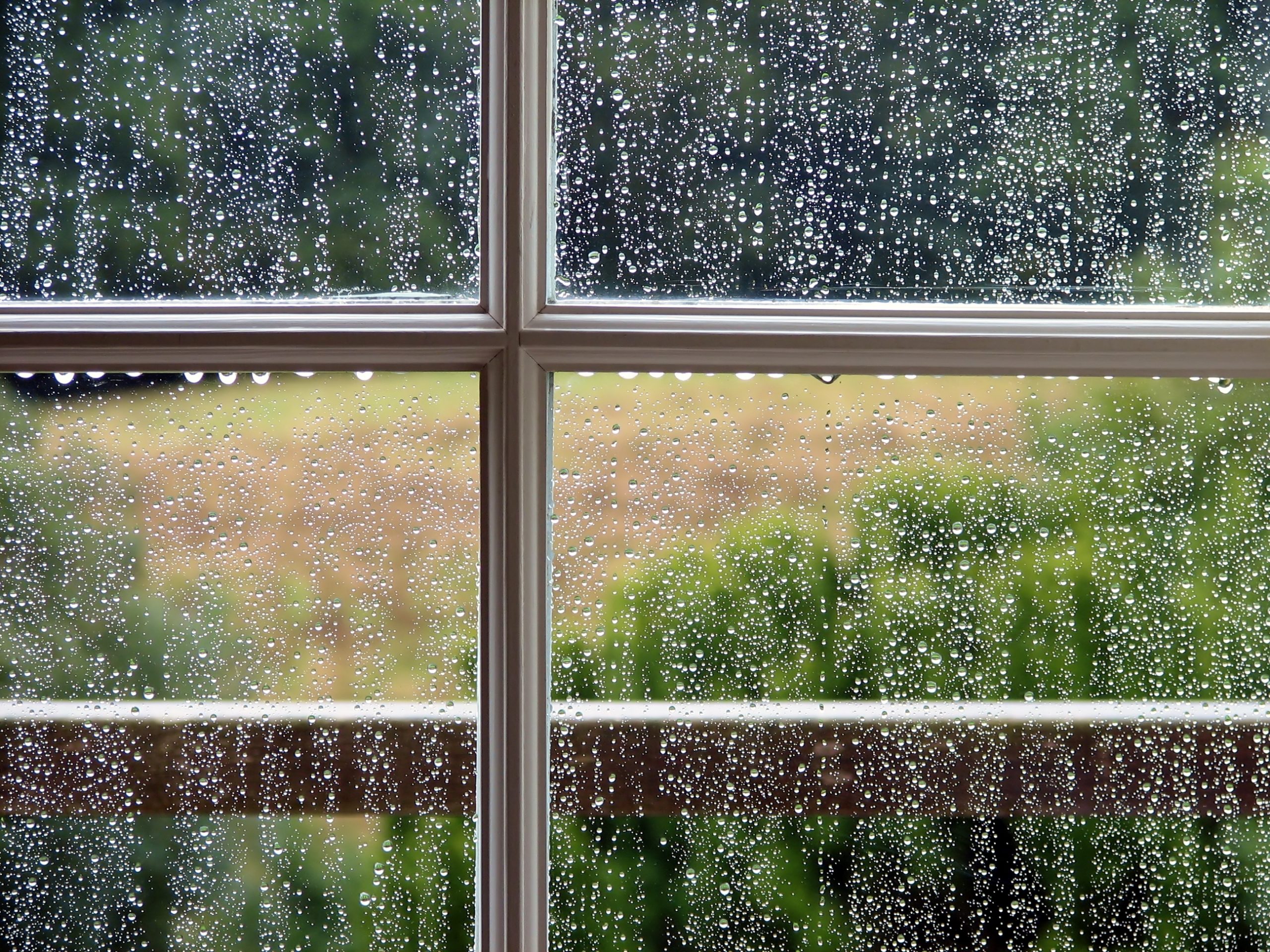 rain outside window
