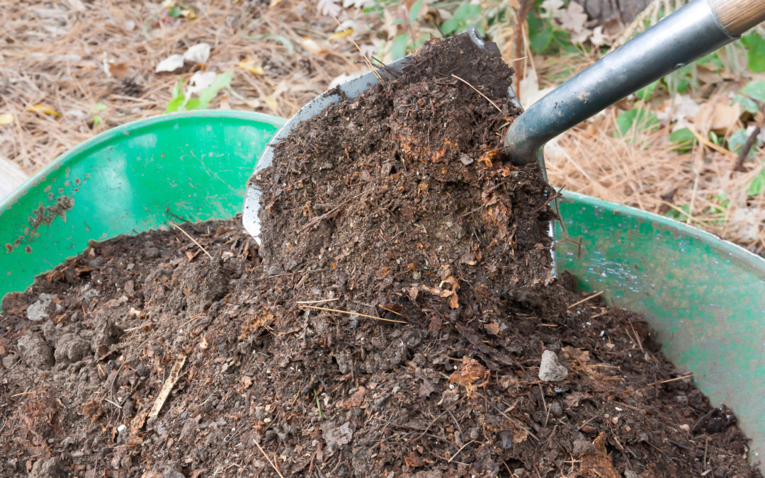 How to Start a Leaf Compost Pile