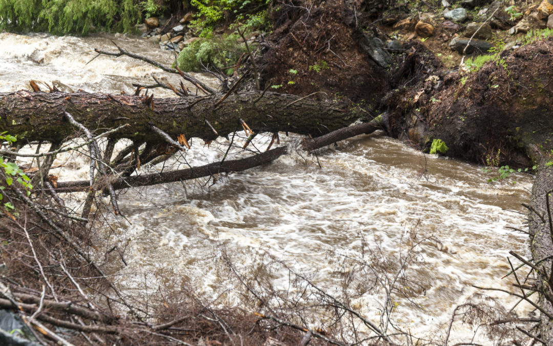 How to Prepare Your Family and Your Home for Flooding and Severe Weather