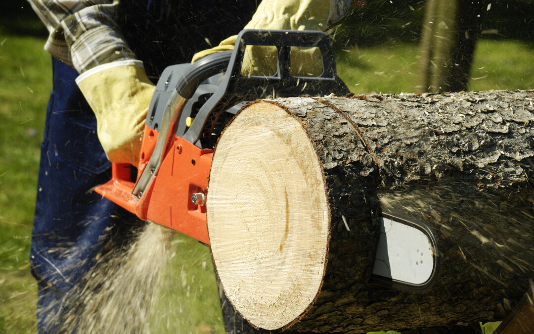 How to Choose the Best Chainsaw for Your Job and Skill Level