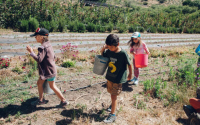 Half Moon Bay’s The HEAL Project Helps Kids Learn to Love Vegetables