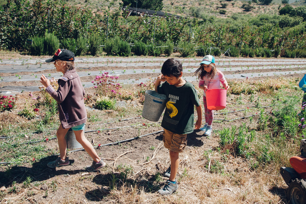 Half Moon Bay’s The HEAL Project Helps Kids Learn to Love Vegetables